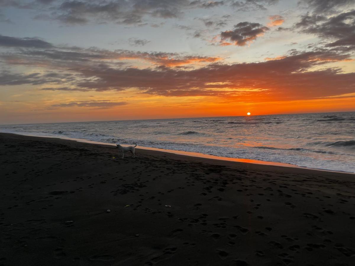 Vistapaloma Beach Resort Odiong Buitenkant foto